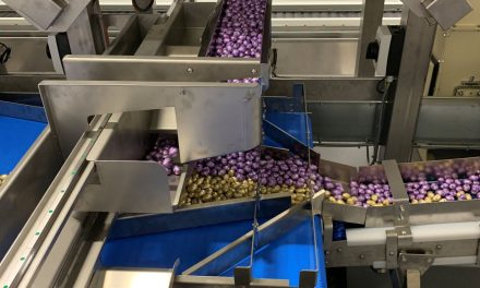 Festo electric drive automation achieves perfect Easter egg flavour combinations for Mondelez