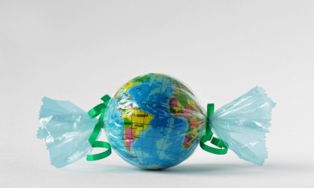 New research shows that European packaging producers are embracing the circular economy but few are acting ahead of legislation